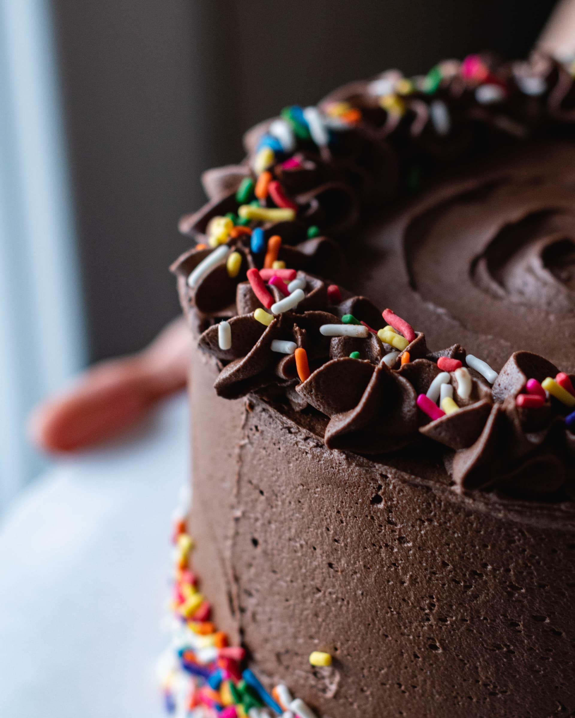 Vegan chocolate layer cake with rainbow sprinkles and piped chocolate frosting